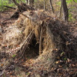 Debris Hut