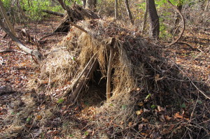 Debris Hut