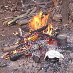 Campfire Cooking