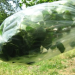 Transpiration Bag