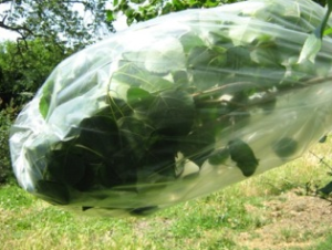 Transpiration Bag